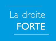 logo france-politique.fr